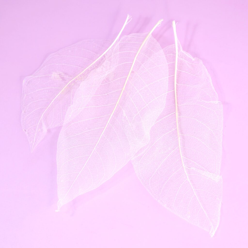 IMG 7815